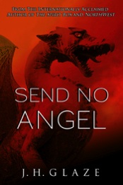 Send No Angel book cover